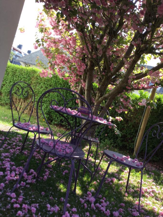 B&B Supérieur Villa vanille Namur Exterior foto